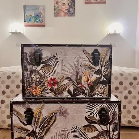 Apartment Buttefly House In Centro Ad